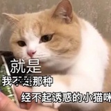 小婷子