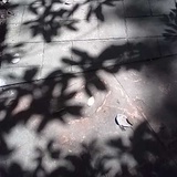 不二不饿啦～