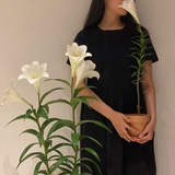 鸠落