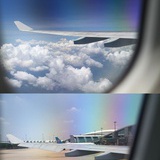 陈汀汀