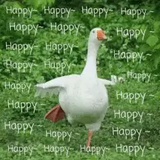 enjoy&life