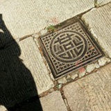 东走西顾