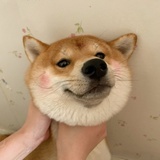 滋滋甜