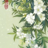 春秋一梦了无痕