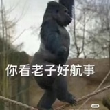 图图（已埋）