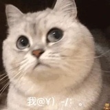 非洲うしあたま
