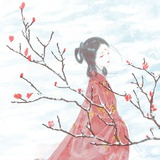 海豹公子
