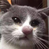 ........