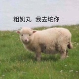 靓女