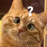 酒神少女（播客