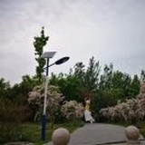 二师兄