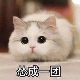 贰肆。