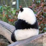 豆瓣酱