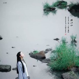 小树同学