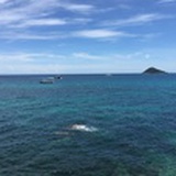 瑾景页业