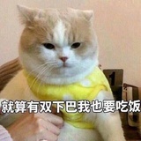 一一一