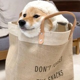 一起爬山吧