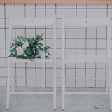 格小苏。