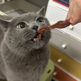 番茄酱
