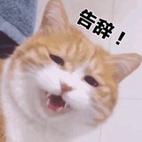 美味的薯饼