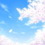 蔡菜头