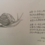 加油啊少女