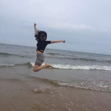 爱向日葵的牛