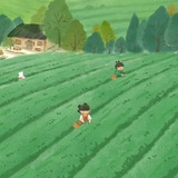 二廿