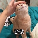 麦兜响叮当