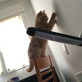 慢吞吞小姐GK