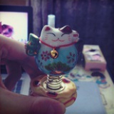我想养只猫