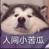 生活要有光呀