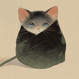 野生芋鱼