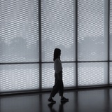 瓦洛佳