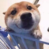 像玉的石头