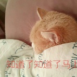 楚XXXXXXXX