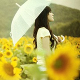 want sunshine