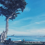 某夏疯子