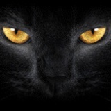 M.Chat