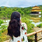 盛夏龟背竹