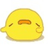 花未眠人未醒