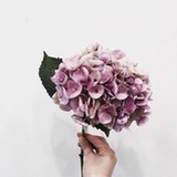 ITSSUENXXXW