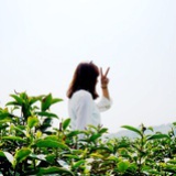 最近是表妹