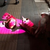 魏市宁