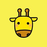我爱长颈鹿