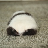 wink