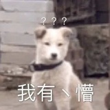 一叶之秋天快来