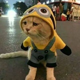 xixihaha
