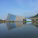 青立