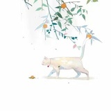 猴小希